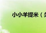 小小羊提米（关于小小羊提米介绍）