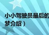 小小驾驶员最后的梦（关于小小驾驶员最后的梦介绍）