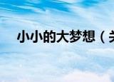 小小的大梦想（关于小小的大梦想介绍）