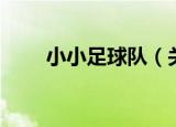 小小足球队（关于小小足球队介绍）