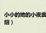 小小的她的小夜曲（关于小小的她的小夜曲介绍）