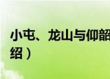 小屯、龙山与仰韶（关于小屯、龙山与仰韶介绍）