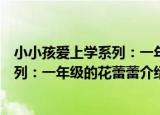 小小孩爱上学系列：一年级的花蕾蕾（关于小小孩爱上学系列：一年级的花蕾蕾介绍）