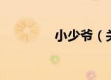 小少爷（关于小少爷介绍）