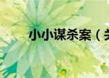 小小谋杀案（关于小小谋杀案介绍）
