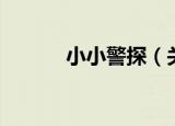 小小警探（关于小小警探介绍）