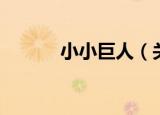 小小巨人（关于小小巨人介绍）