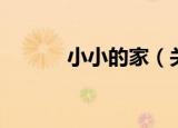 小小的家（关于小小的家介绍）