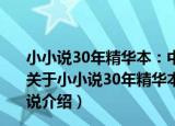 小小说30年精华本：中国当代最具影响力的120篇小小说（关于小小说30年精华本：中国当代最具影响力的120篇小小说介绍）
