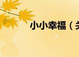 小小幸福（关于小小幸福介绍）