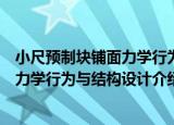 小尺预制块铺面力学行为与结构设计（关于小尺预制块铺面力学行为与结构设计介绍）