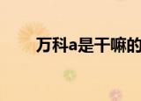 万科a是干嘛的（万科a是什么意思）