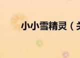 小小雪精灵（关于小小雪精灵介绍）