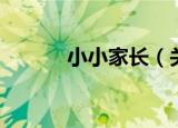 小小家长（关于小小家长介绍）