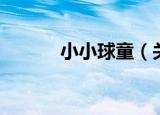 小小球童（关于小小球童介绍）