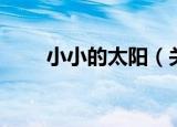 小小的太阳（关于小小的太阳介绍）