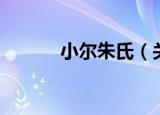小尔朱氏（关于小尔朱氏介绍）
