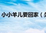 小小羊儿要回家（关于小小羊儿要回家介绍）