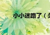 小小迷路了（关于小小迷路了介绍）