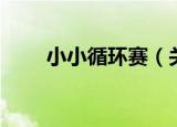 小小循环赛（关于小小循环赛介绍）