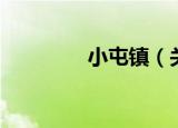 小屯镇（关于小屯镇介绍）