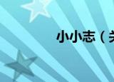 小小志（关于小小志介绍）