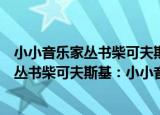 小小音乐家丛书柴可夫斯基：小小音乐迷（关于小小音乐家丛书柴可夫斯基：小小音乐迷介绍）