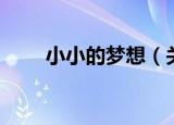 小小的梦想（关于小小的梦想介绍）