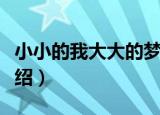 小小的我大大的梦（关于小小的我大大的梦介绍）