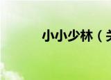 小小少林（关于小小少林介绍）