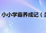 小小学霸养成记（关于小小学霸养成记介绍）