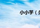 小小芋（关于小小芋介绍）