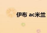 伊布 ac米兰（伊布加盟ac米兰）