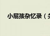 小屁孩杂忆录（关于小屁孩杂忆录介绍）
