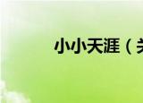 小小天涯（关于小小天涯介绍）