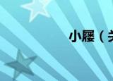 小屦（关于小屦介绍）