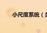 小尺度系统（关于小尺度系统介绍）