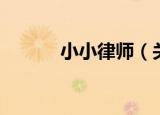 小小律师（关于小小律师介绍）