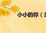 小小的你（关于小小的你介绍）