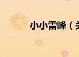 小小雷峰（关于小小雷峰介绍）