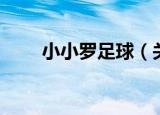 小小罗足球（关于小小罗足球介绍）