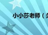 小小莎老师（关于小小莎老师介绍）