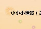 小小小情歌（关于小小小情歌介绍）