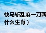 快马斩乱麻一刀两断是什么生肖（一刀两断是什么生肖）