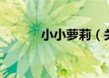 小小萝莉（关于小小萝莉介绍）