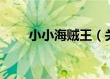 小小海贼王（关于小小海贼王介绍）