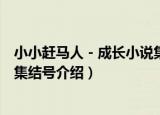 小小赶马人－成长小说集结号（关于小小赶马人－成长小说集结号介绍）