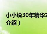 小小说30年精华本（关于小小说30年精华本介绍）