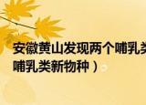 安徽黄山发现两个哺乳类新物种的原因（安徽黄山发现两个哺乳类新物种）