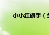 小小红旗手（关于小小红旗手介绍）